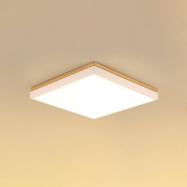 Puili | 1-Light