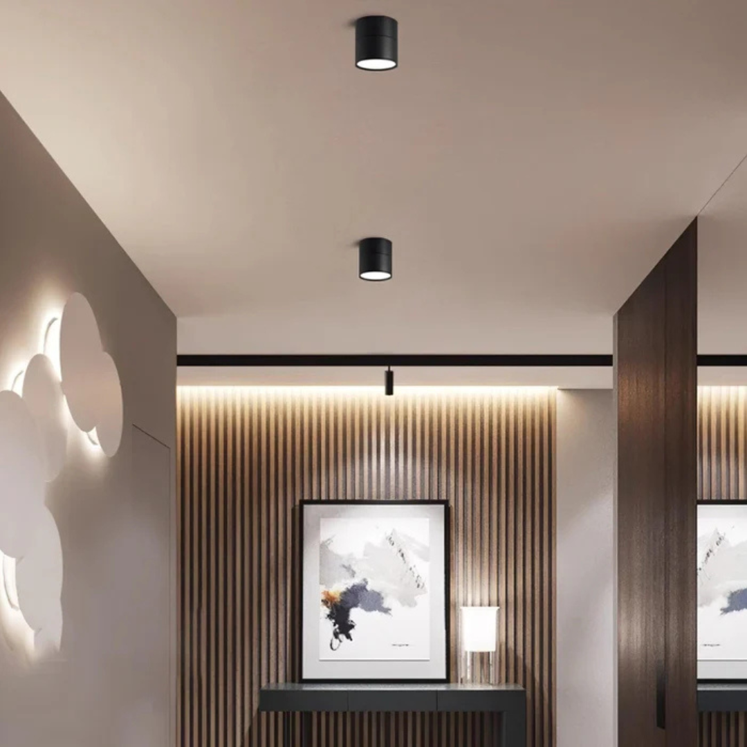 Modern Adjustable LED Ceiling Light 1-Light