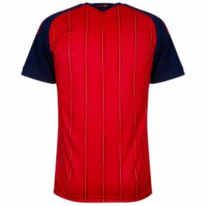 Spain Two-Star Home Match Jersey