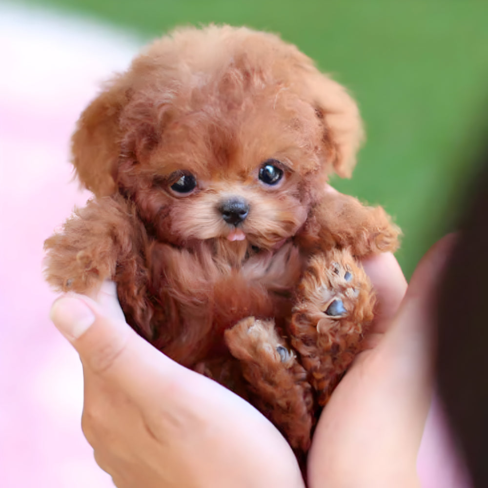 Puili | Nicoo Robot Puppy Interactive Toy Realistic Lifelike Dog for Kids