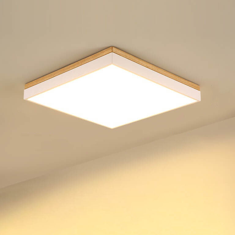 Puili | 1-Light