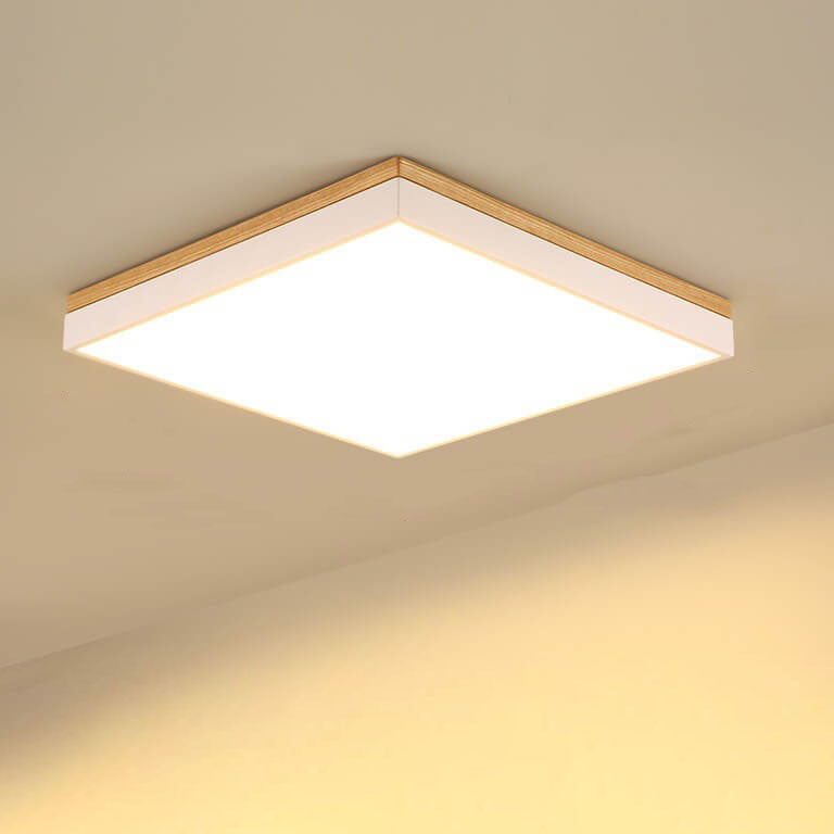 Puili | 1-Light
