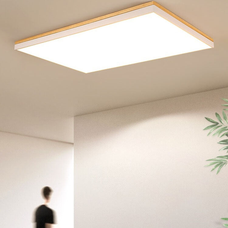 Puili | 1-Light