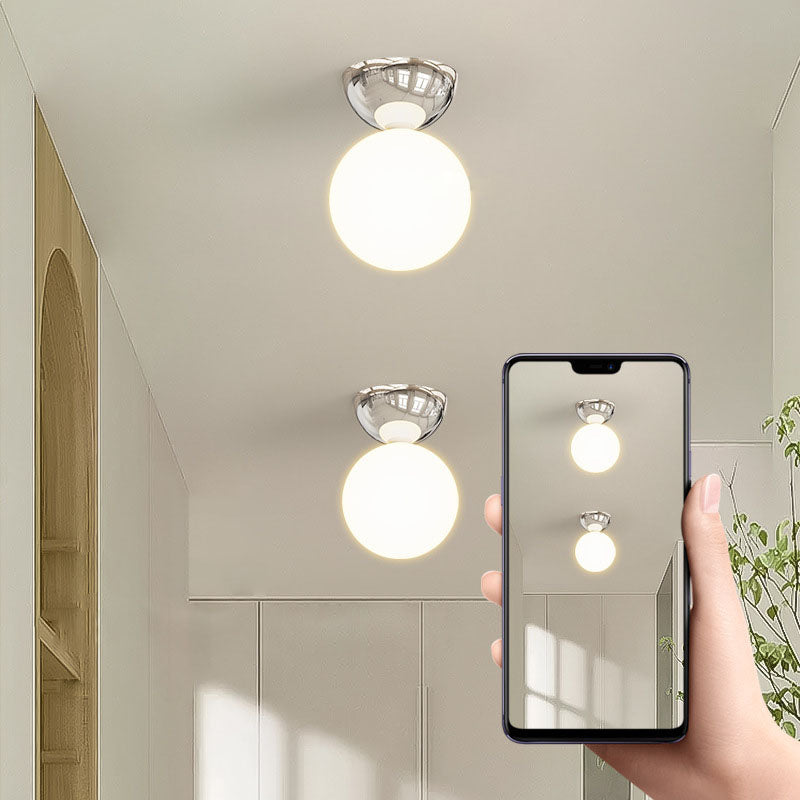 Puili | 1-Light