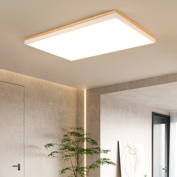 Puili | 1-Light