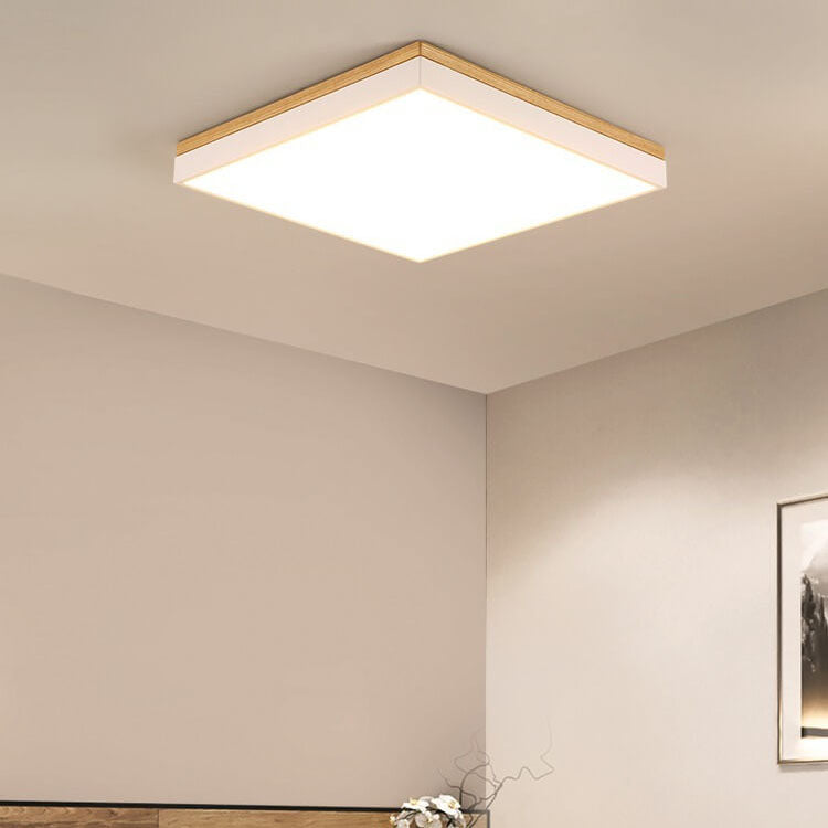 Puili | 1-Light
