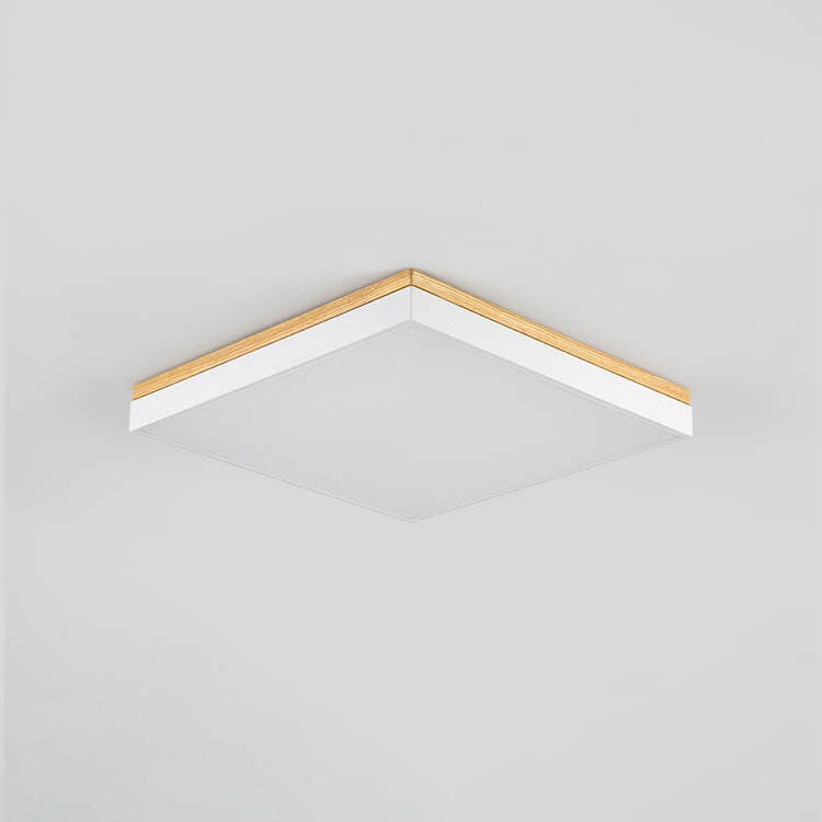 Puili | 1-Light