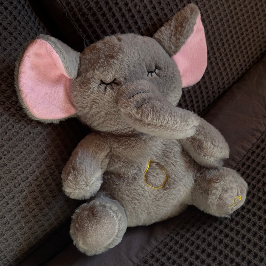 Ademhaling Koala + Olifant + Konijn