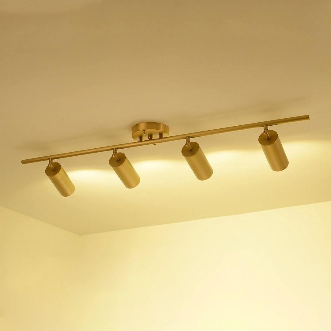 Modern Brass Double Cylinder Adjustable Wall Spotlight