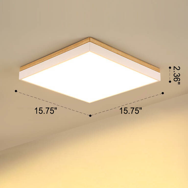 Puili | 1-Light