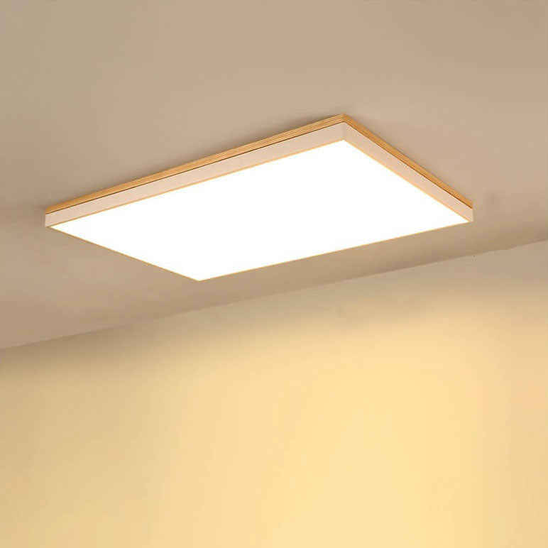 Puili | 1-Light