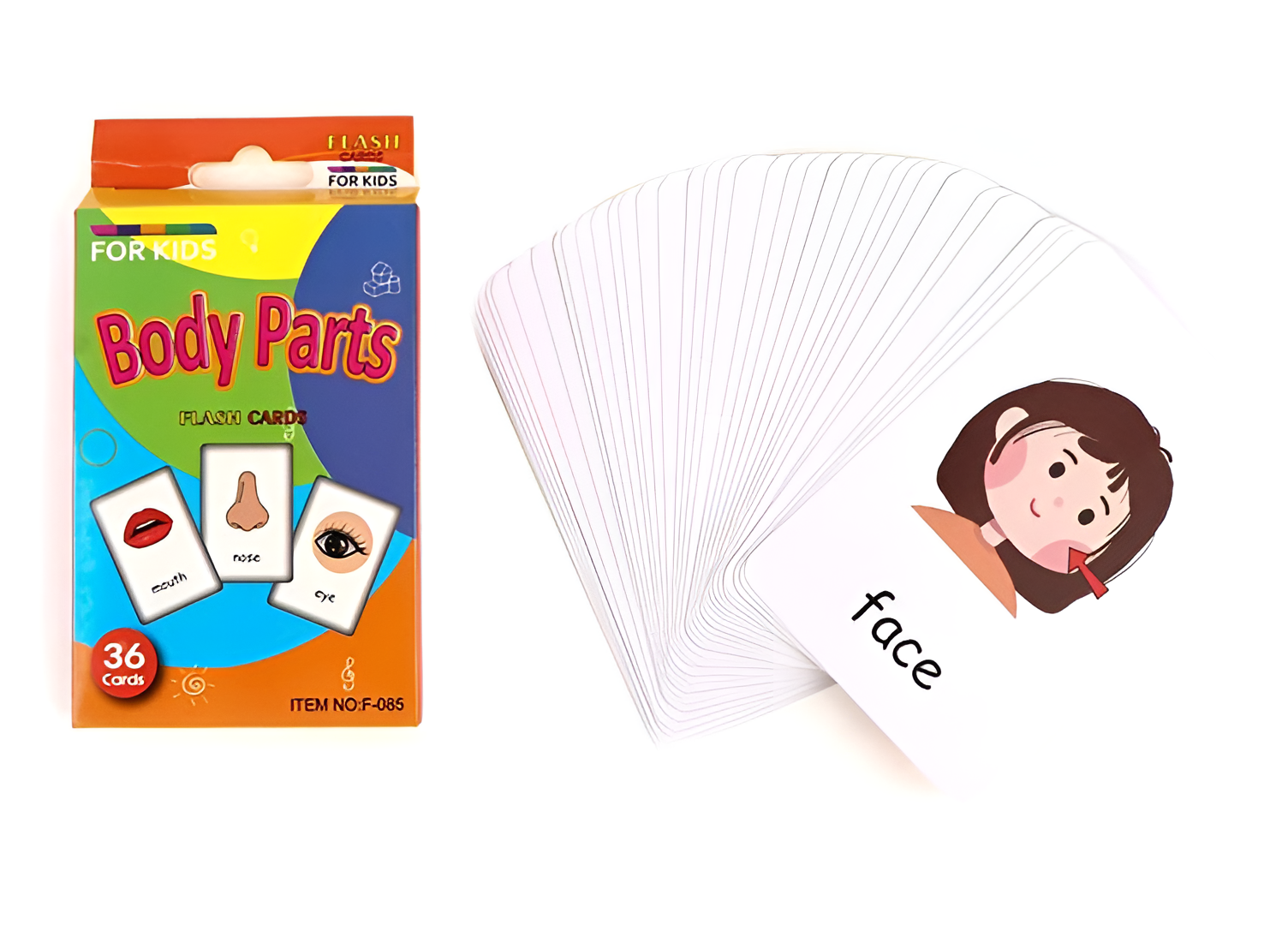 Carte educative Montessori