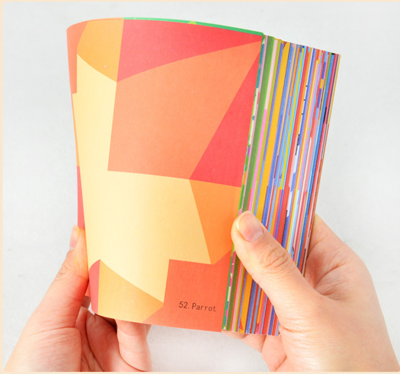 Kit di origami Montessori